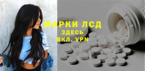 стаф Алзамай