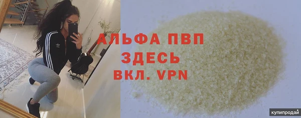стаф Алзамай