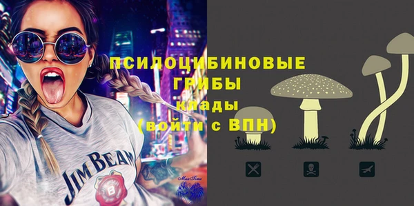 сатива Алексеевка